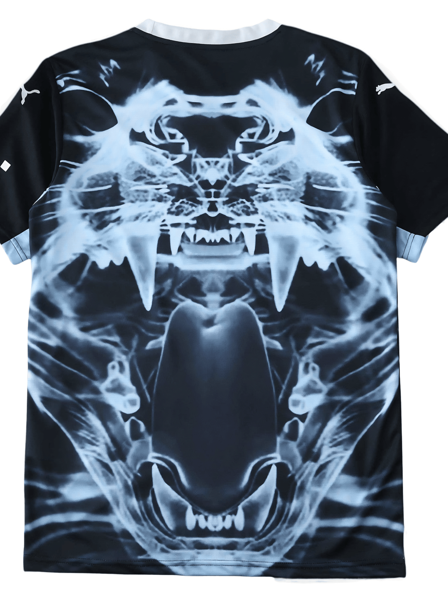 Jersey 25/26 Men's