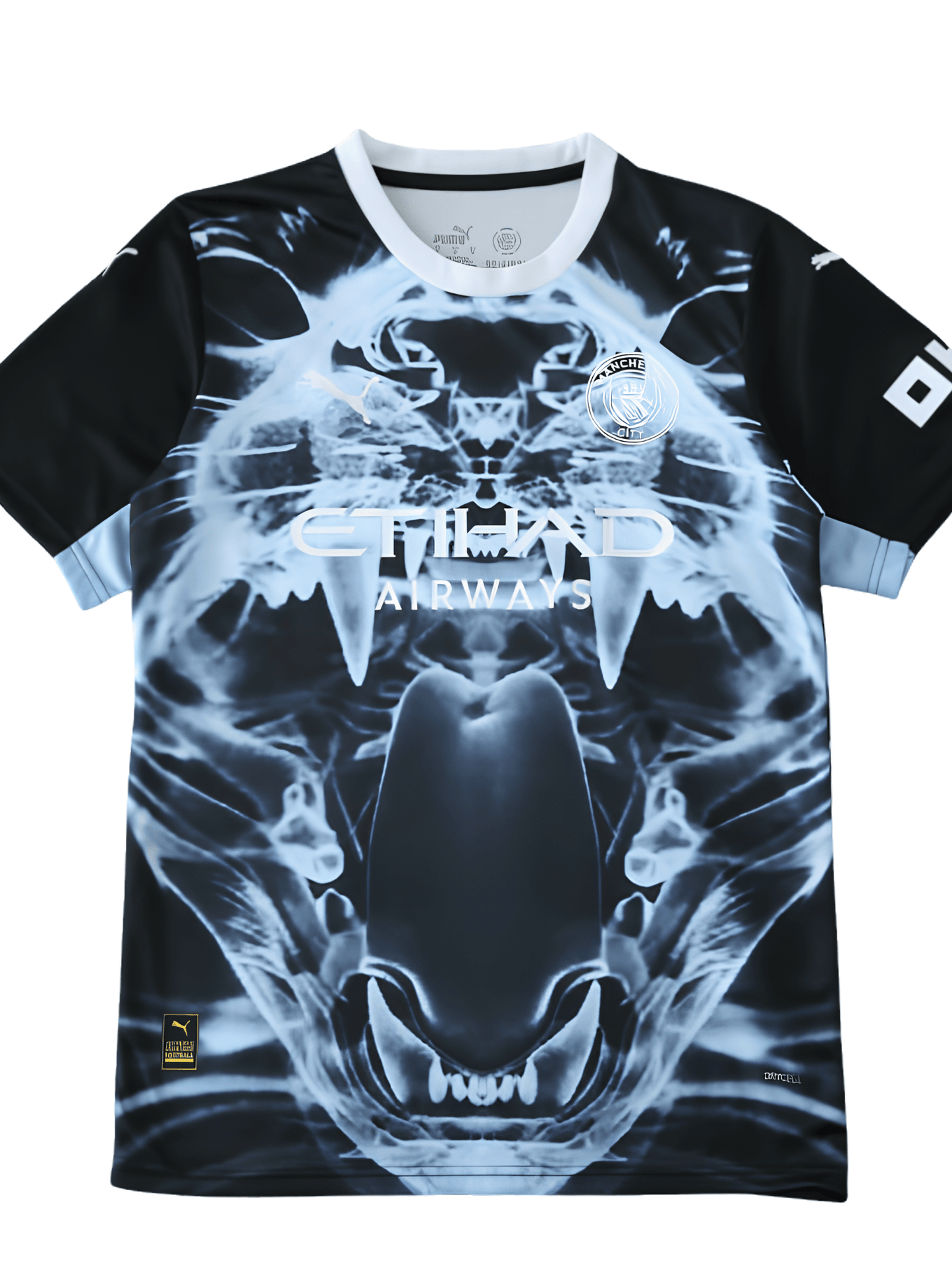 Jersey 25/26 Men's